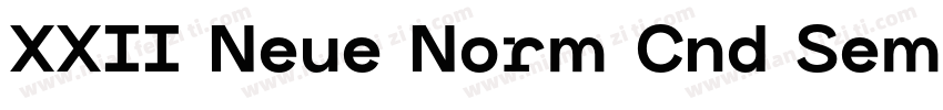 XXII Neue Norm Cnd SemiBold字体转换